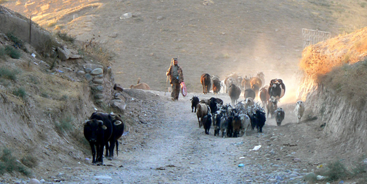 Tajikistan-12