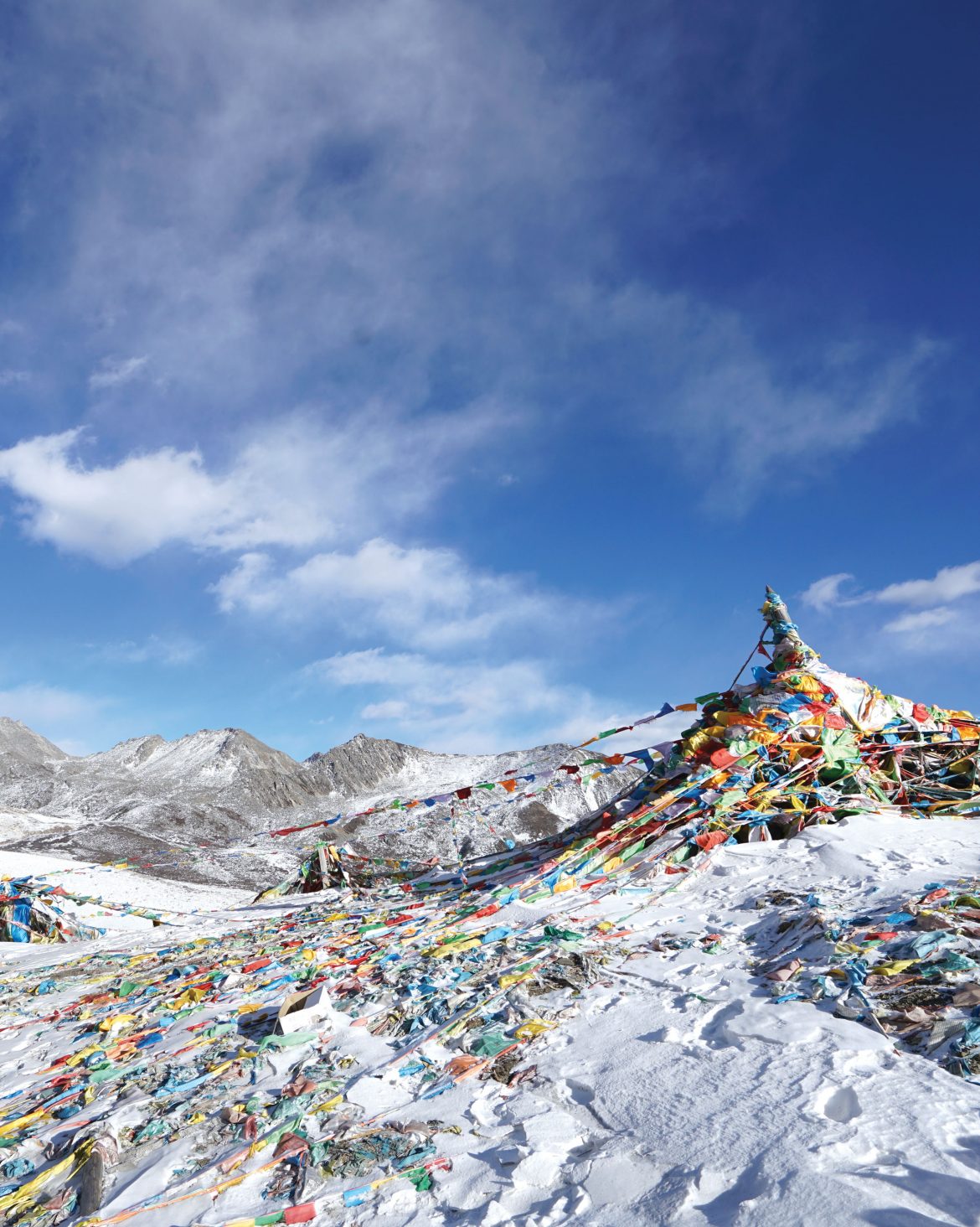 내지-표지-사진